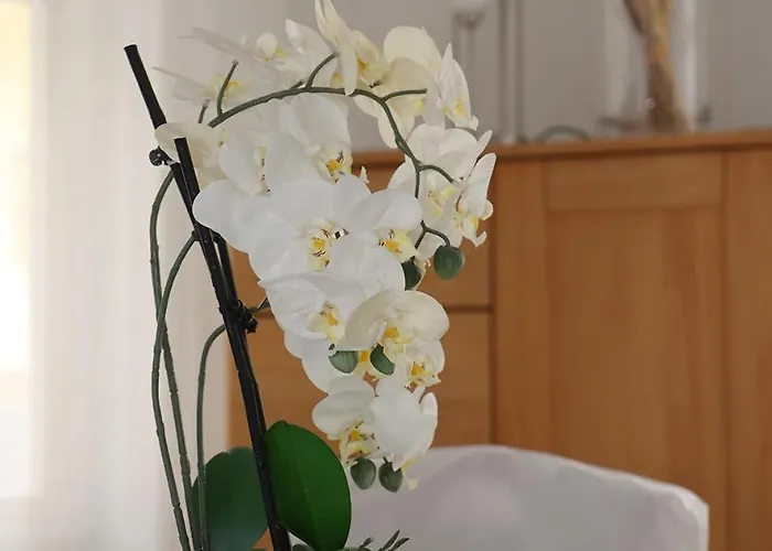 Lucky アパート トロッシンゲン